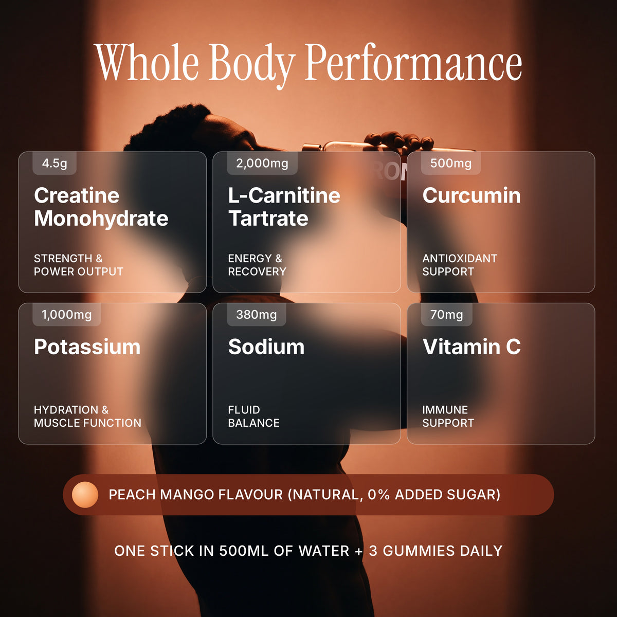 Whole body performance ingredients
