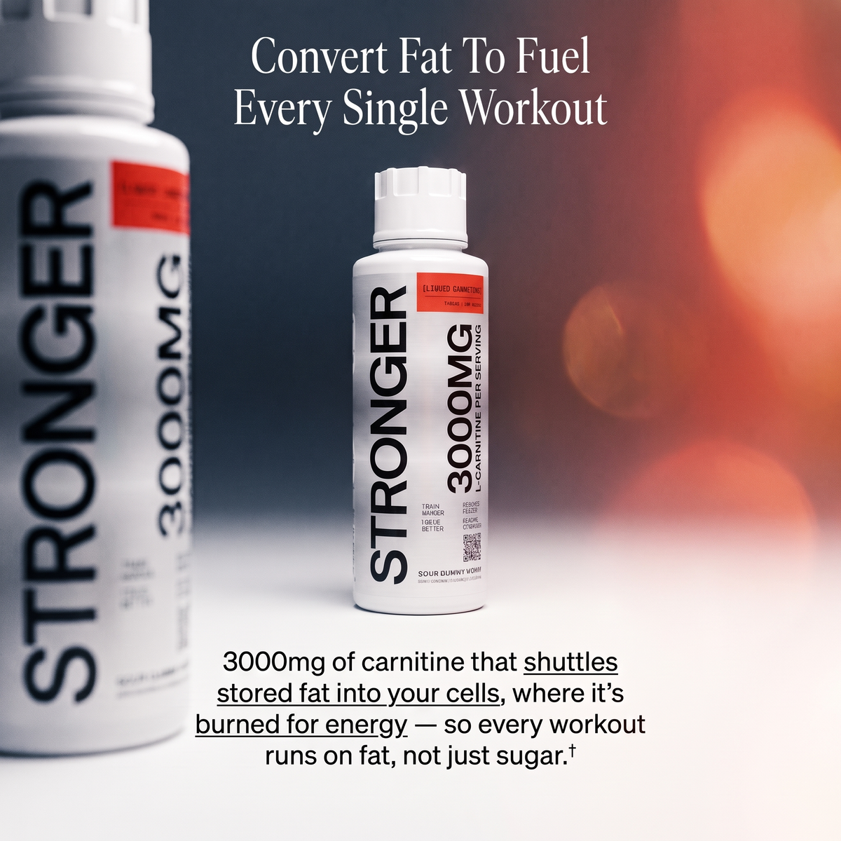 Convert fat to fuel